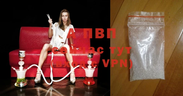 стафф Алексин