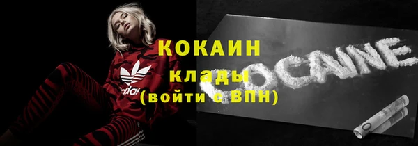 стафф Алексин