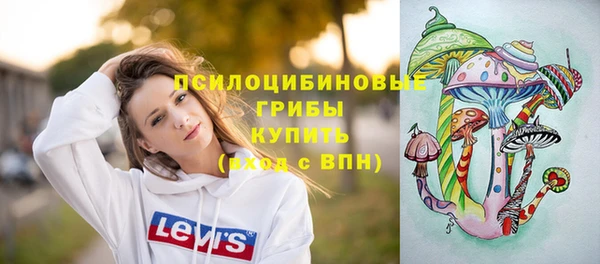 стафф Алексин
