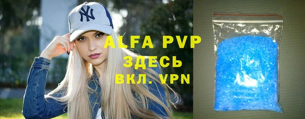стафф Алексин