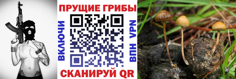 как найти закладки  blacksprut зеркало  Галлюциногенные грибы Psilocybe  Артёмовск 